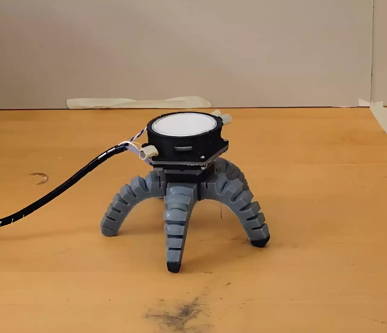 The Unlikely Fusion of Robotics and Mycology: How Fungal Mycelia are Shaping the Future of Biohybrid Robotics img